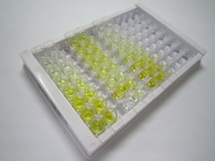 NEDD4结合蛋白2(N4BP2)检测试剂盒(酶联免疫吸附试验法)