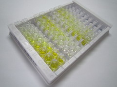 透明質(zhì)酸氨基葡糖苷酶1(HYAL1)檢測試劑盒(酶聯(lián)免疫吸附試驗法)
