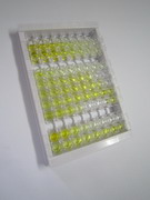 透明質(zhì)酸氨基葡糖苷酶1(HYAL1)檢測(cè)試劑盒(酶聯(lián)免疫吸附試驗(yàn)法)