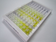 DnaJ/Hsp40同源物亚家族C成员13(DNAJC13)检测试剂盒(酶联免疫吸附试验法)