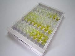 超氧化物歧化酶(SOD)檢測(cè)試劑盒(酶聯(lián)免疫吸附試驗(yàn)法)
