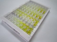 酶原粒蛋白16同源物B(ZG16B)檢測(cè)試劑盒(酶聯(lián)免疫吸附試驗(yàn)法)