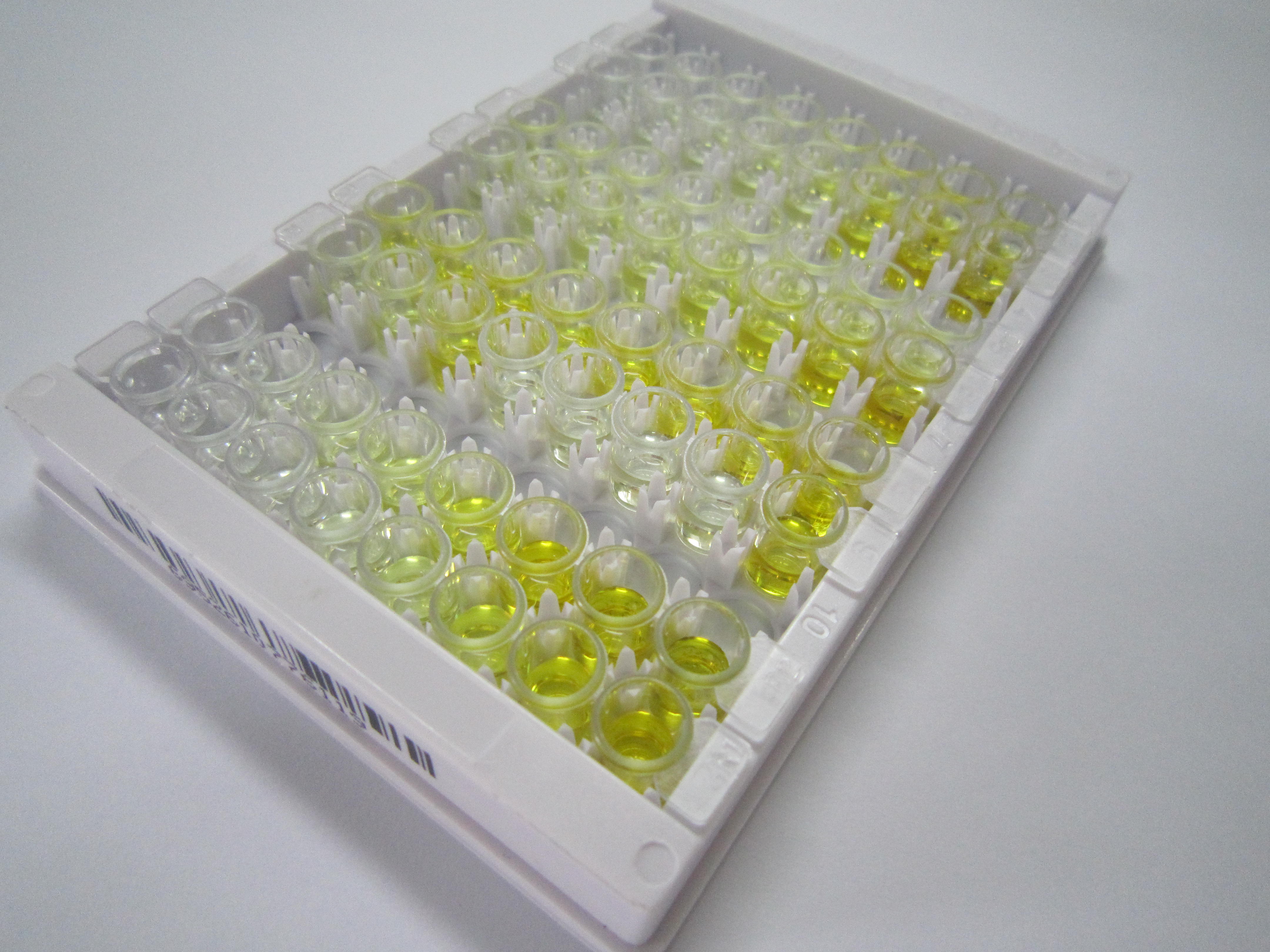 高尔基体蛋白A8家族成员A(GOLGA8A)检测试剂盒(酶联免疫吸附试验法)