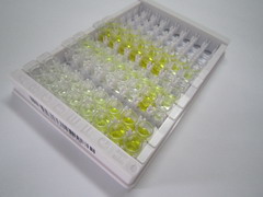 N-6-腺嘌呤特异性DNA甲基转移酶1(N6AMT1)检测试剂盒(酶联免疫吸附试验法)