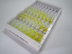 血管生成素样蛋白8(ANGPTL8)检测试剂盒(酶联免疫吸附试验法)