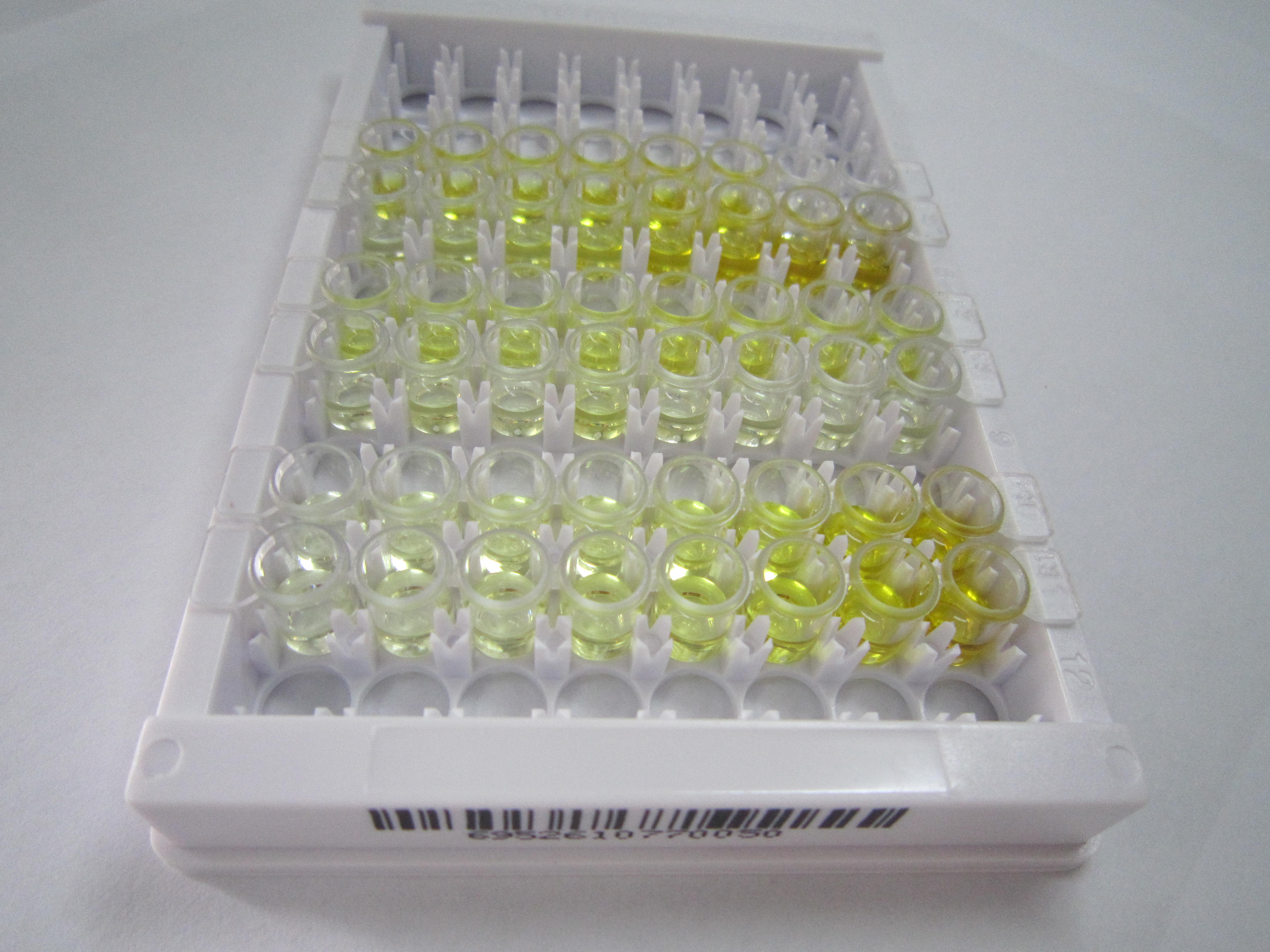 血管生成素样蛋白8(ANGPTL8)检测试剂盒(酶联免疫吸附试验法)
