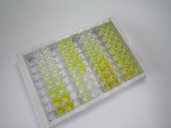 巨噬细胞移动抑制因子(MIF)检测试剂盒(酶联免疫吸附试验法,宽范围)