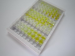 胶质细胞源性连接蛋白(GDN)检测试剂盒(酶联免疫吸附试验法,宽范围)