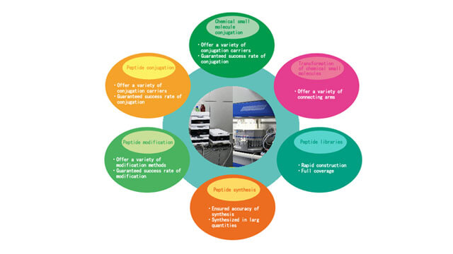 Synthetic Polypeptides Customized Service