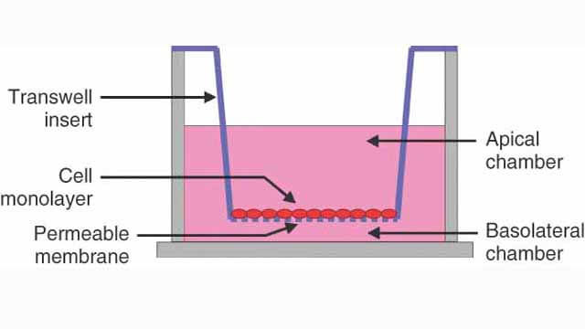 Cell Function Experiment Service