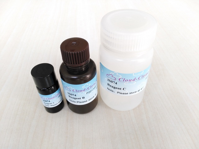 Endotoxin Removal Kit II