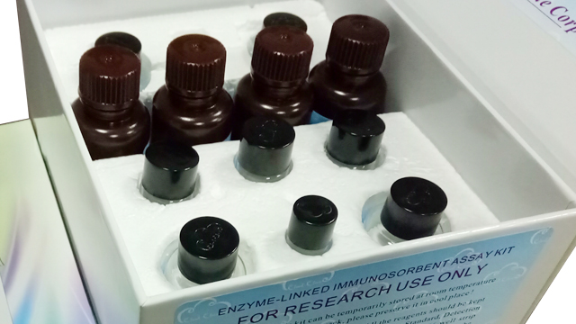 Antibody Pairs Support Pack 1