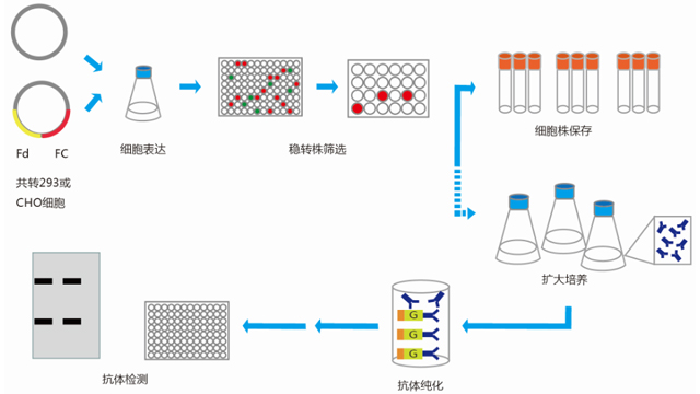 IVD Raw Material Customized Service
