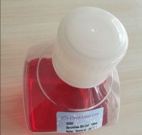Serum-free 293 cell medium