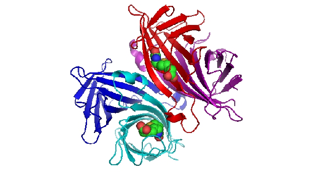 Streptavidin
