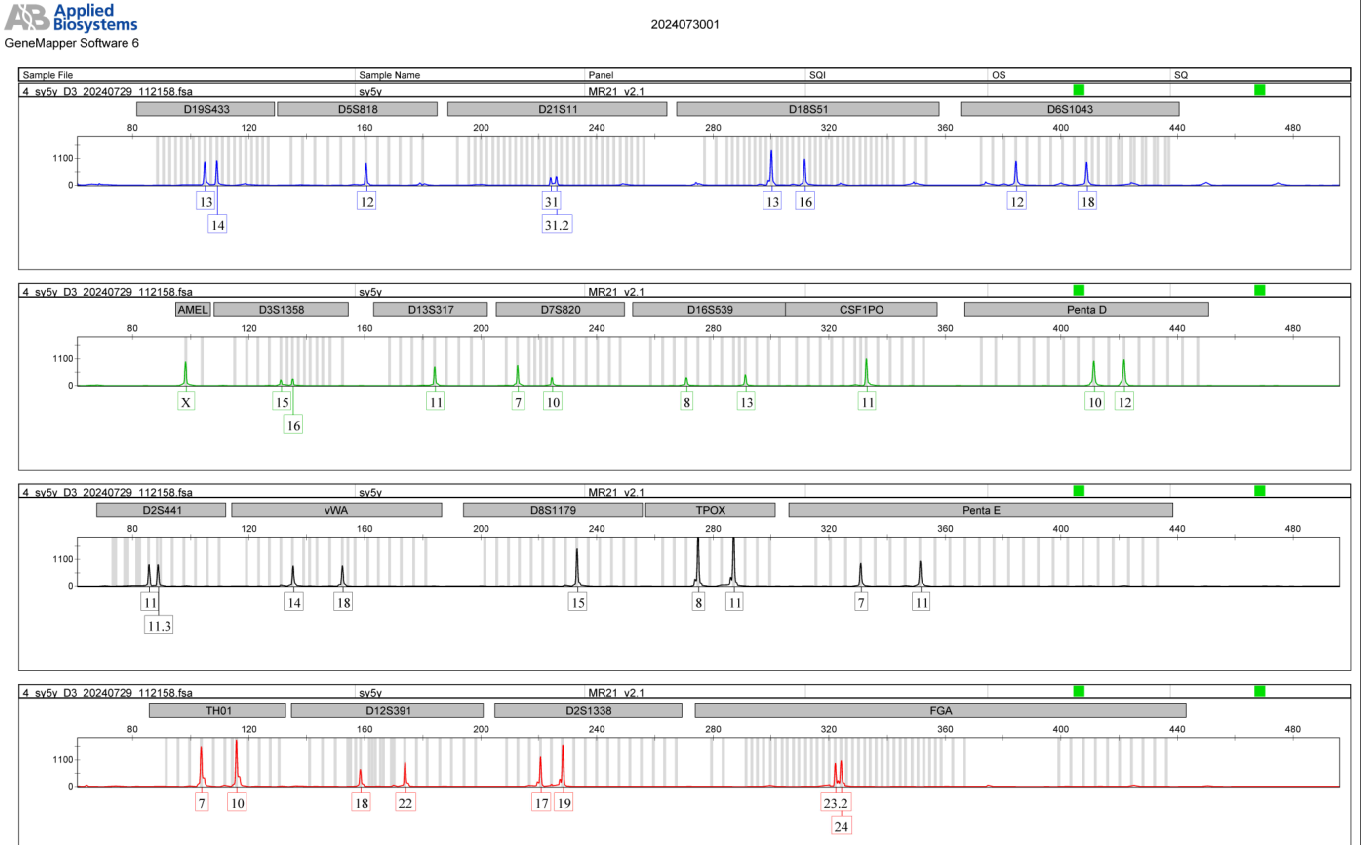 STR Authentication Service for Human Cell lines
